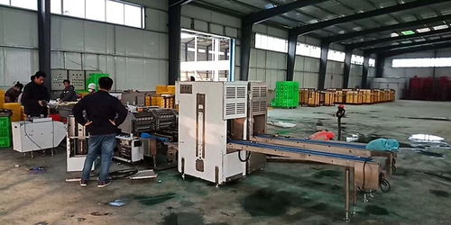 智能化蛋品包裝裝備 香河金璧盛護航蛋品產業高效升級